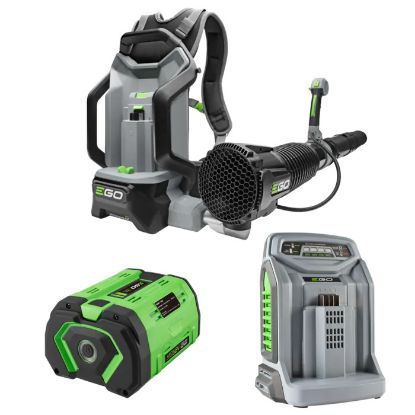 Afbeeldingen van Ego LB6000E-K1103 ruggedr bladblazer kit